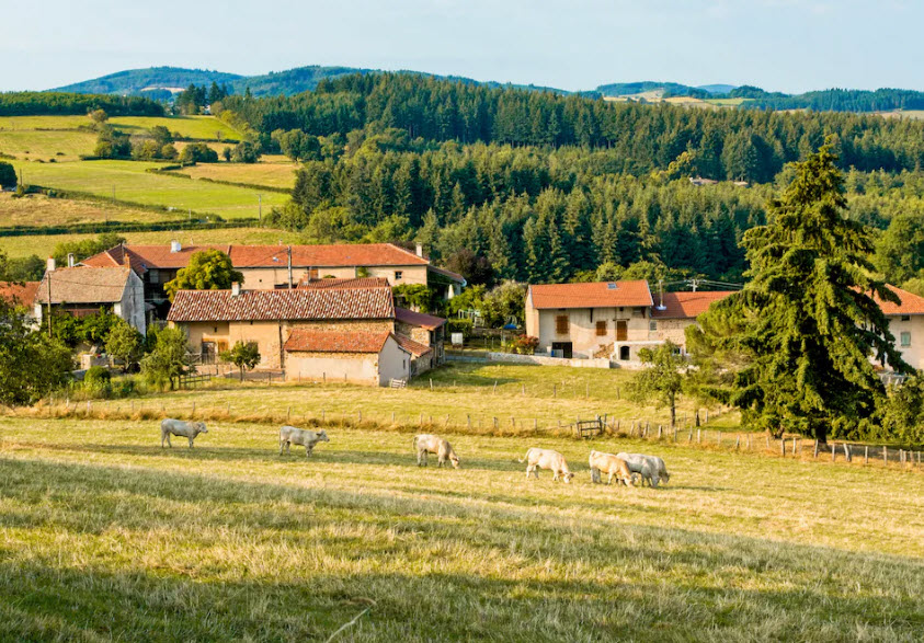 Dyo, France