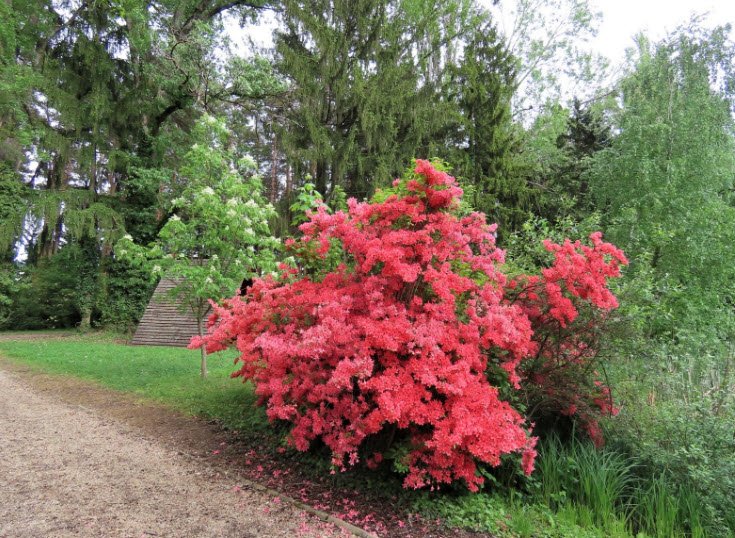 Kámoni Arborétum, Szombathely, Hungary, Hungary