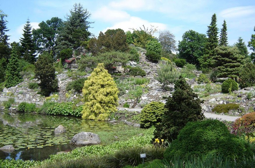 Utrecht Botanic Gardens, Netherlands
