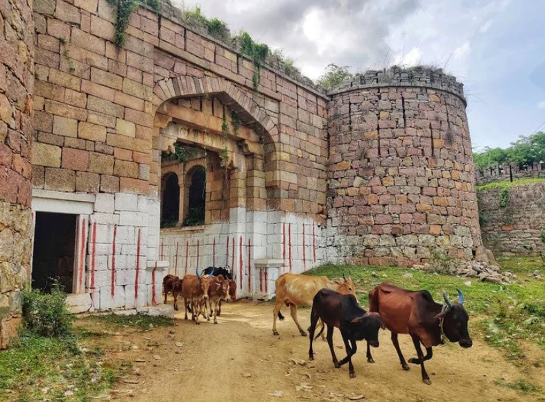 Wanadurga, Karnataka , India
