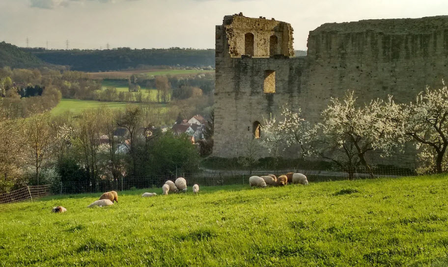 Altsachsenheim, Germany