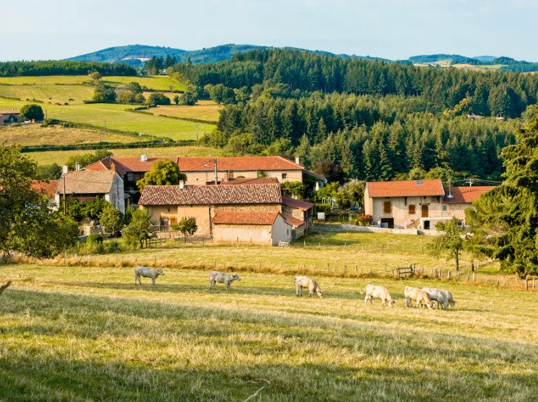 Ozenay, France, France