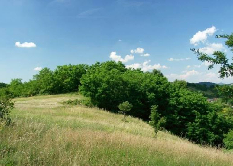 Kastélytető, Hungary