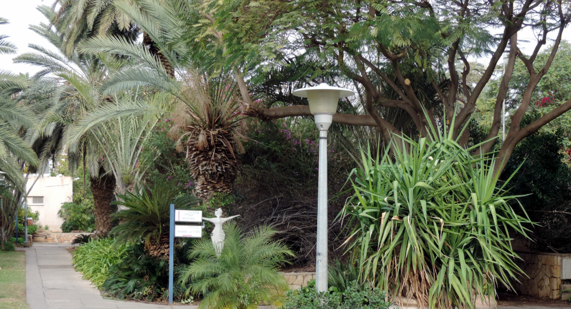 Kalya, State of Palestine