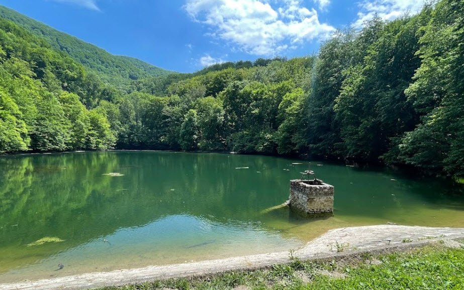 Budafapuszta Arboretum , Hungary