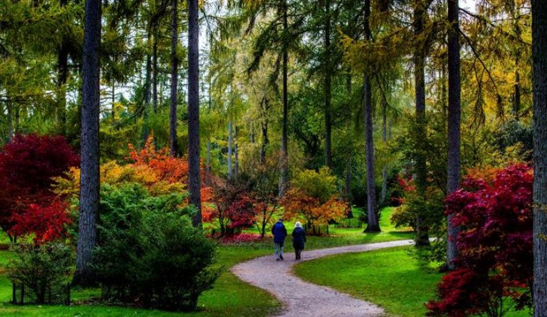 Westonbirt, The National Arboretum, United Kingdom