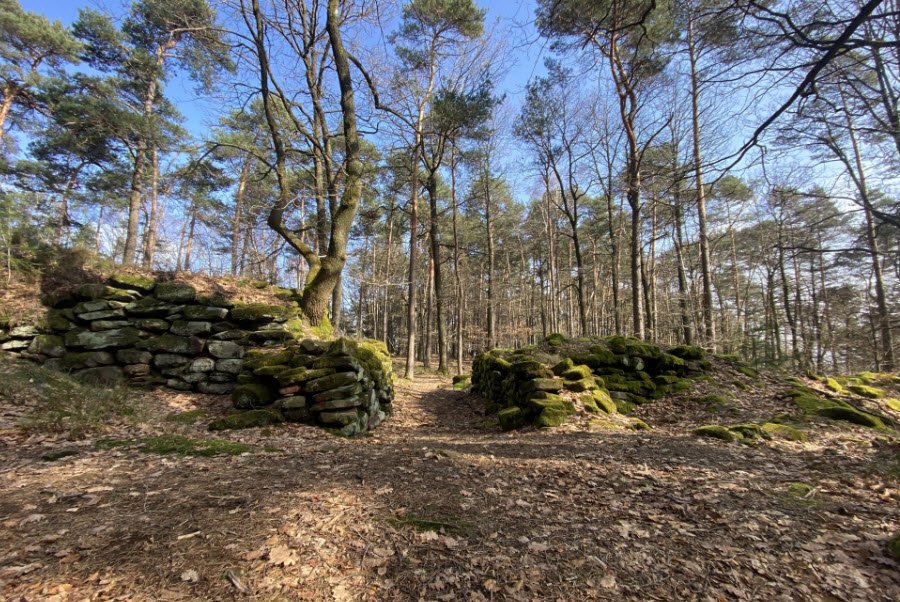 Heidenschuh, Klingenmünster, Germany, Germany