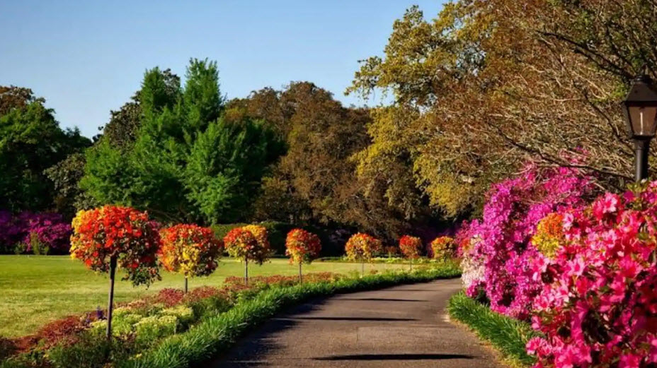 Louisburg College's de Hart Botanical Gardens, United States