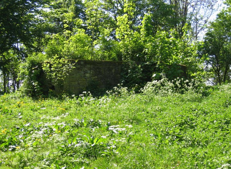 Nellenburg, Germany