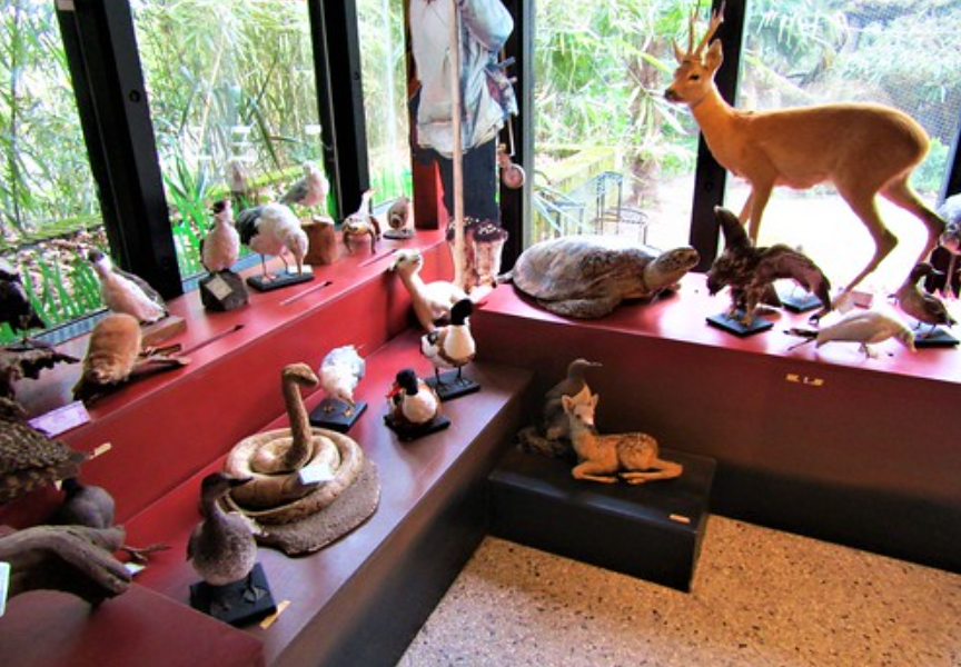 Wonderwereld, Netherlands