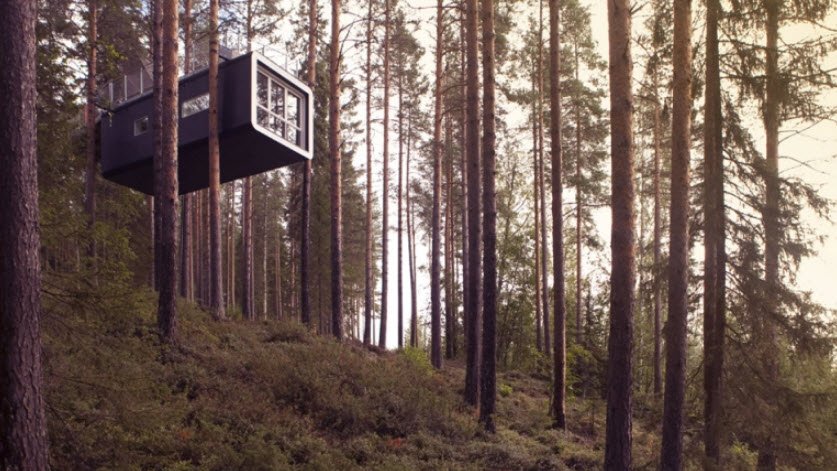 Treehotel, Harads, Norrbotten County, Sweden