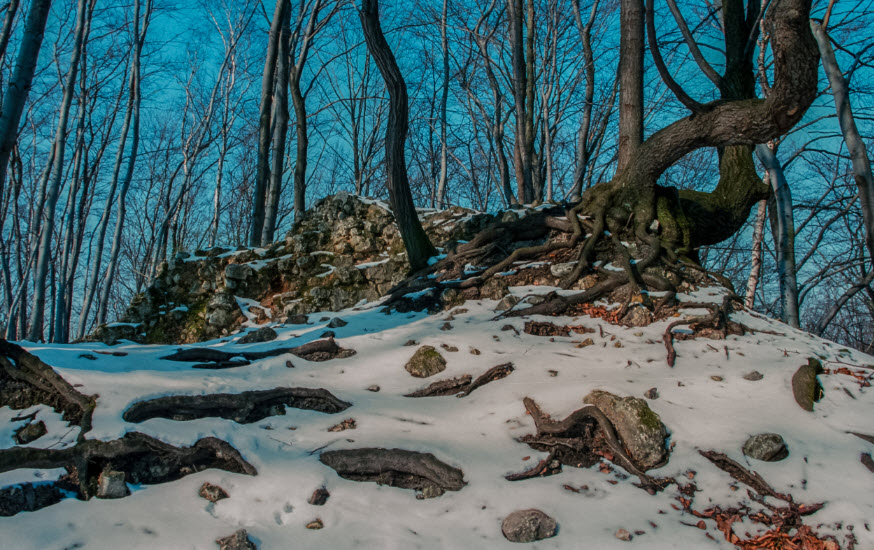 Ostrężnik, Poland