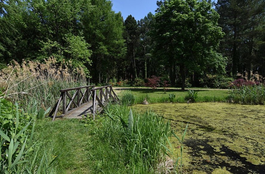 Kámoni Arborétum, Szombathely, Hungary, Hungary