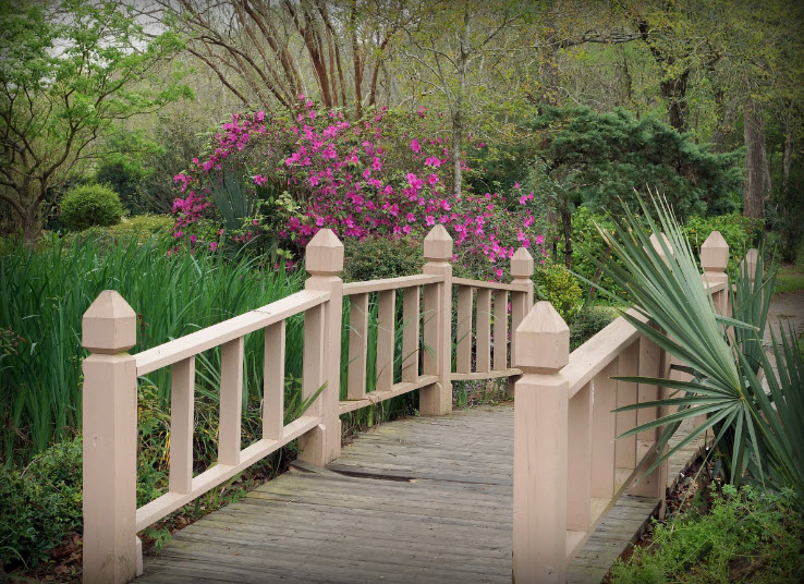 Beaumont Botanical Gardens, United States