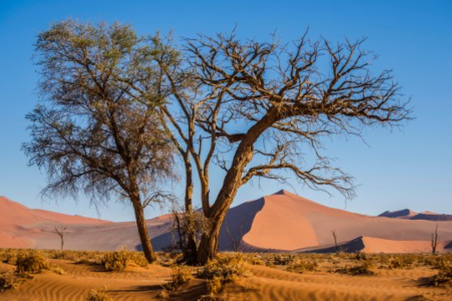Sossusvlei, Namib Desert, Hardap Region, Namibia