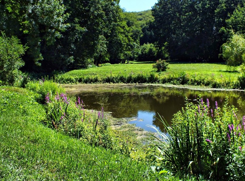 Budafapuszta Arboretum , Hungary