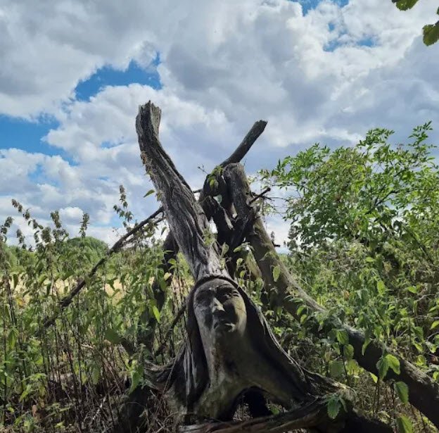 Freudenkoppe, Neroth, Germany, Germany