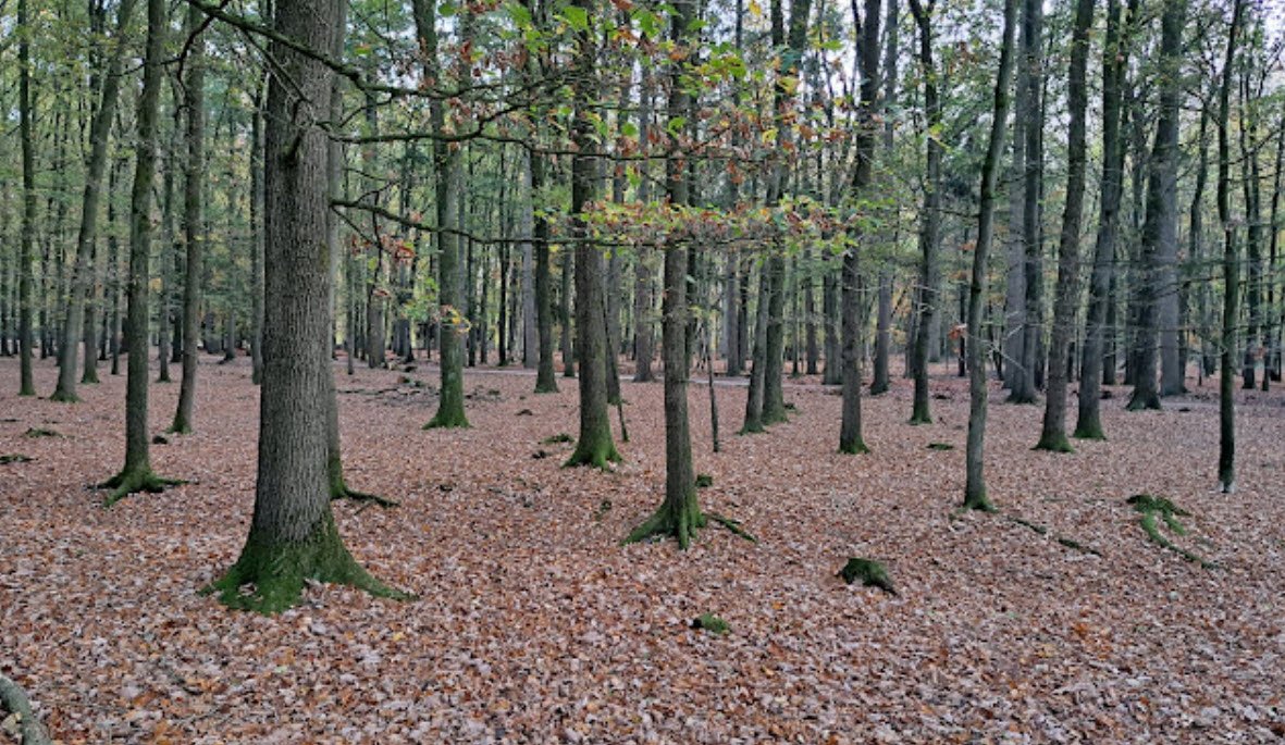 Dinklage, Germany
