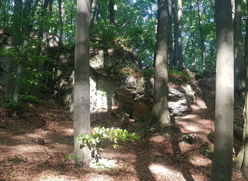 Ostrężnik, Poland