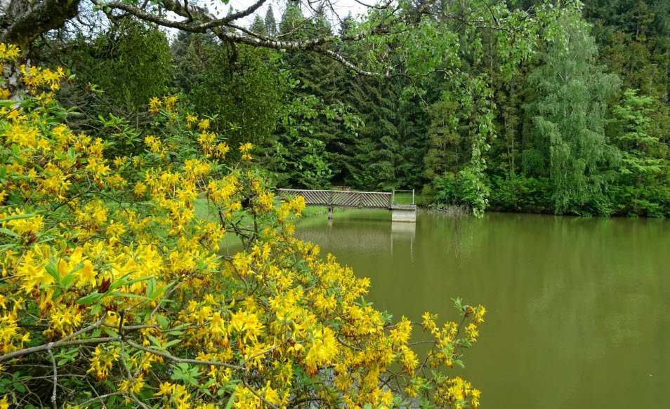 Budafapuszta Arboretum , Hungary