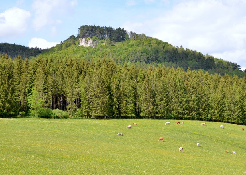 Wenzelstein, Germany