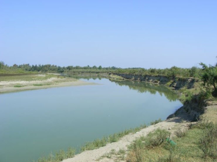 Ndërnënas, , Albania