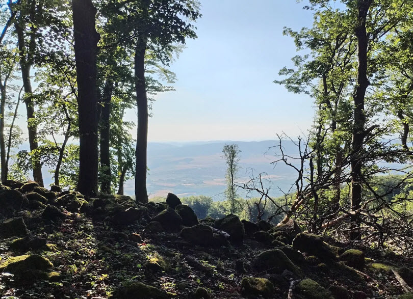 Muzslatető, Hungary