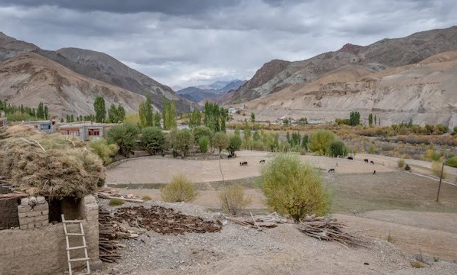 Chiktan, Kargil district, Ladakh, India, India