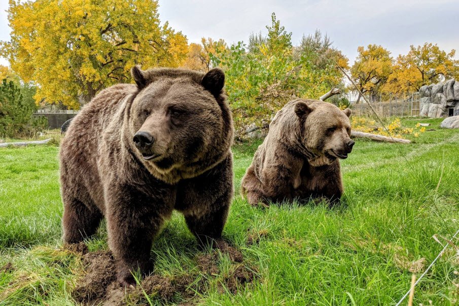 ZooMontana, United States