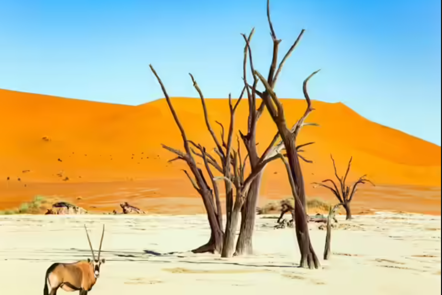 Deadvlei, Namib Desert, Hardap Region, Namibia