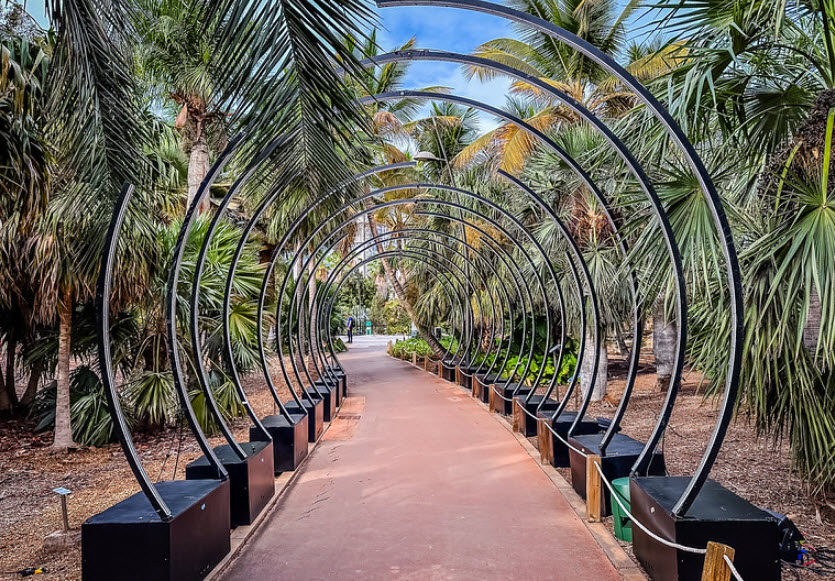 Palmetum, Spain