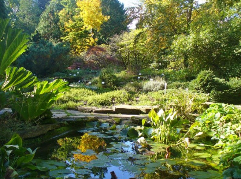 Späth-Arboretum, Berlin, Germany, Germany