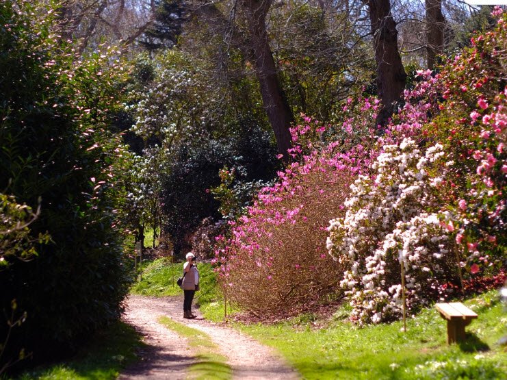 Caerhays, United Kingdom